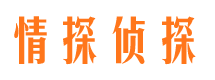 积石山外遇调查取证